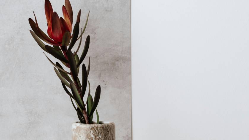 ideas deco para que tu casa hable de ti