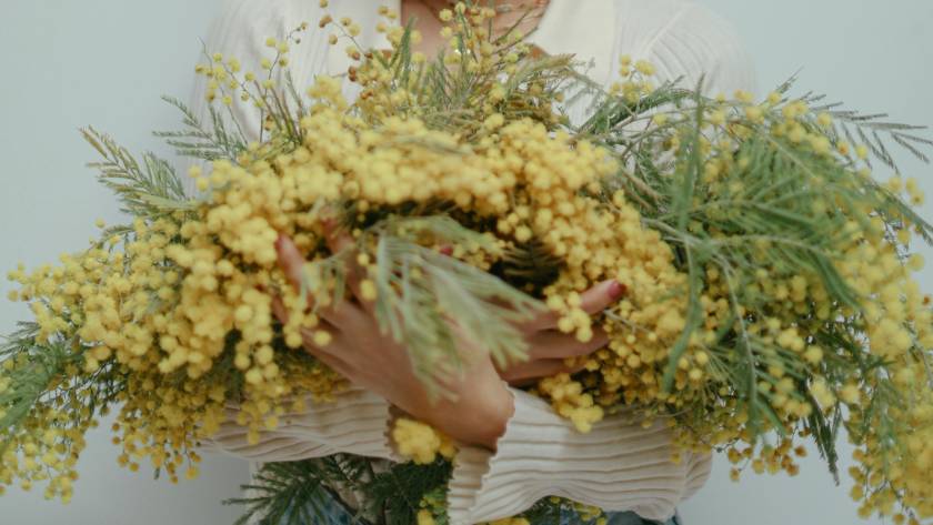 celebrar el día de la mujer