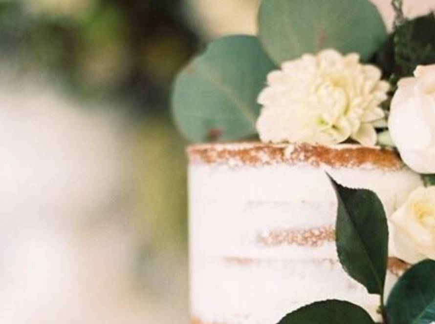 invitada perfecta